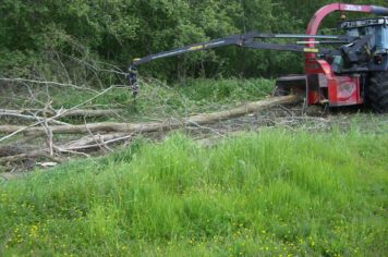 Træfældning Gørlev, Sjælland, rød traktor fjerner træ